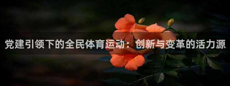 球速体育