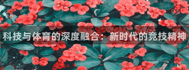 球速体育