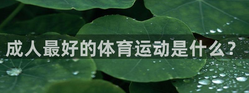 球速体育