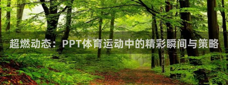 球速体育
