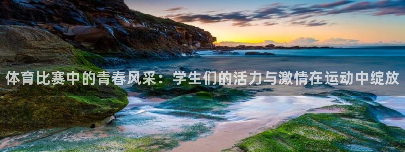 球速体育