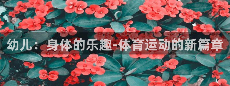 球速体育