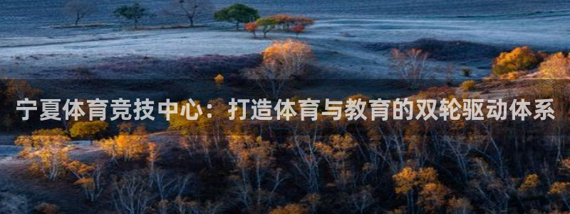 球速体育